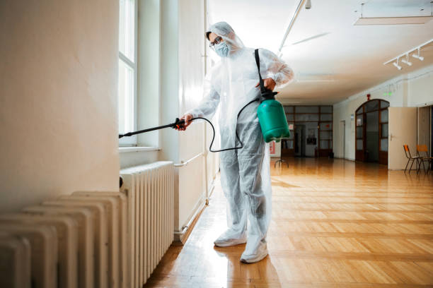 Best Residential Pest Control  in Menands, NY